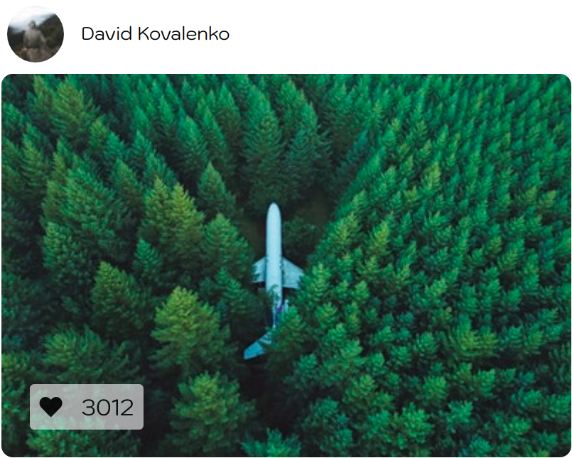 aerial view of forest